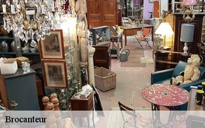 Brocanteur 72 Sarthe  M. Lieballe 