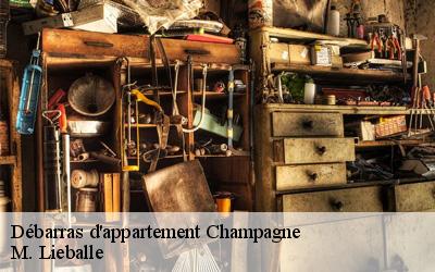 Débarras d'appartement  champagne-72470 M. Lieballe 