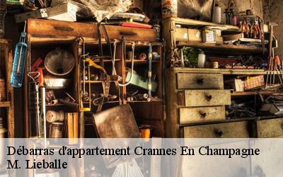 Débarras d'appartement  crannes-en-champagne-72540 M. Lieballe 