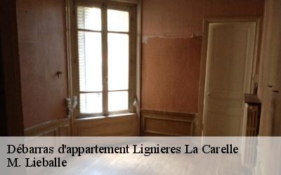 Débarras d'appartement  lignieres-la-carelle-72610 M. Lieballe 