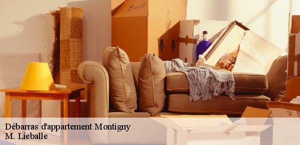 Débarras d'appartement  montigny-72670 M. Lieballe 