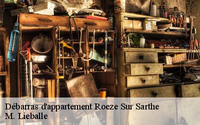 Débarras d'appartement  roeze-sur-sarthe-72210 M. Lieballe 