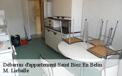 Débarras d'appartement  saint-biez-en-belin-72220 M. Lieballe 