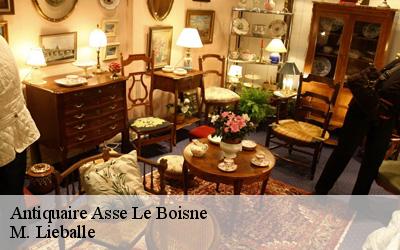 Antiquaire  asse-le-boisne-72130 M. Lieballe 