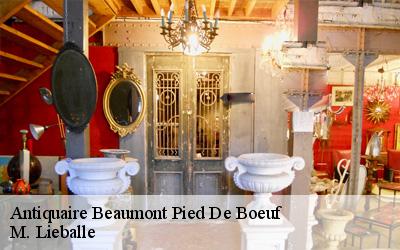 Antiquaire  beaumont-pied-de-boeuf-72500 M. Lieballe 