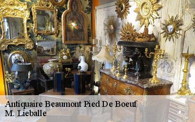 Antiquaire  beaumont-pied-de-boeuf-72500 M. Lieballe 