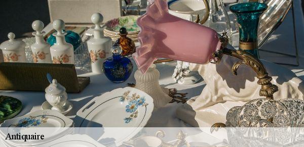 Antiquaire  la-chartre-sur-le-loir-72340 M. Lieballe 