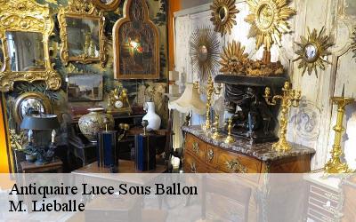 Antiquaire  luce-sous-ballon-72290 M. Lieballe 