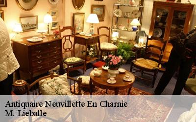 Antiquaire  neuvillette-en-charnie-72140 M. Lieballe 