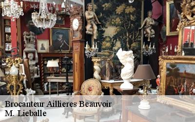 Brocanteur  aillieres-beauvoir-72600 M. Lieballe 