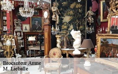 Brocanteur  amne-72540 M. Lieballe 