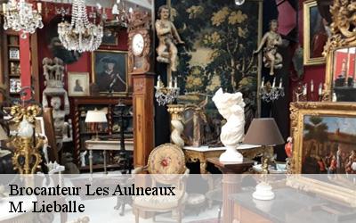 Brocanteur  les-aulneaux-72670 M. Lieballe 