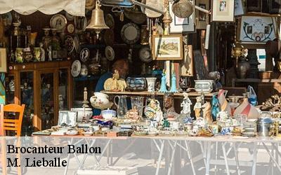 Brocanteur  ballon-72290 M. Lieballe 