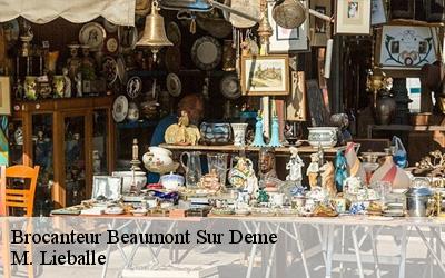 Brocanteur  beaumont-sur-deme-72340 M. Lieballe 