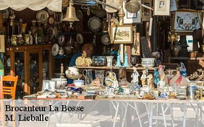 Brocanteur  la-bosse-72400 M. Lieballe 