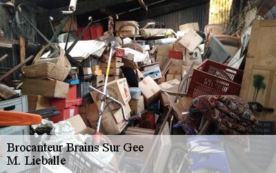 Brocanteur  brains-sur-gee-72550 M. Lieballe 