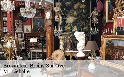 Brocanteur  brains-sur-gee-72550 M. Lieballe 