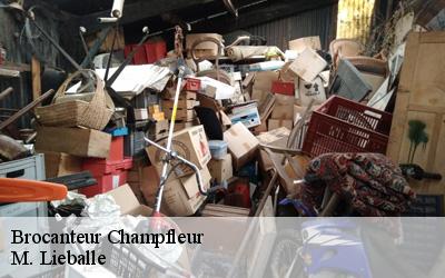 Brocanteur  champfleur-72610 M. Lieballe 