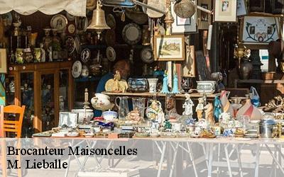 Brocanteur  maisoncelles-72440 M. Lieballe 