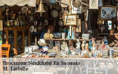 Brocanteur  neufchatel-en-saosnois-72600 M. Lieballe 