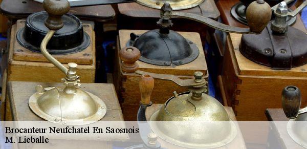 Brocanteur  neufchatel-en-saosnois-72600 M. Lieballe 