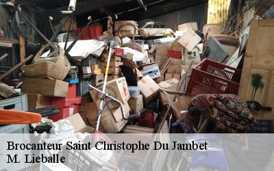 Brocanteur  saint-christophe-du-jambet-72170 M. Lieballe 