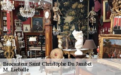 Brocanteur  saint-christophe-du-jambet-72170 M. Lieballe 