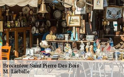 Brocanteur  saint-pierre-des-bois-72430 M. Lieballe 