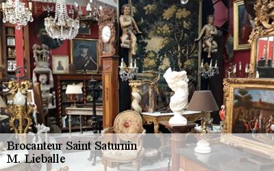 Brocanteur  saint-saturnin-72650 M. Lieballe 