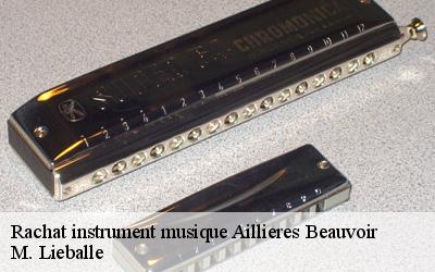 Rachat instrument musique  aillieres-beauvoir-72600 M. Lieballe 