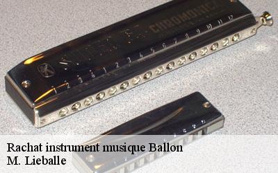Rachat instrument musique  ballon-72290 M. Lieballe 