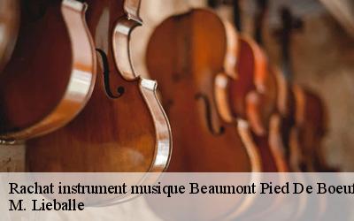 Rachat instrument musique  beaumont-pied-de-boeuf-72500 M. Lieballe 