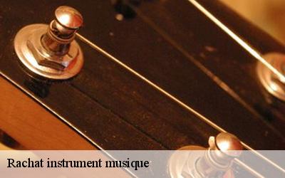 Rachat instrument musique  crosmieres-72200 M. Lieballe 