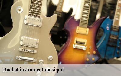 Rachat instrument musique  etival-les-le-mans-72700 M. Lieballe 