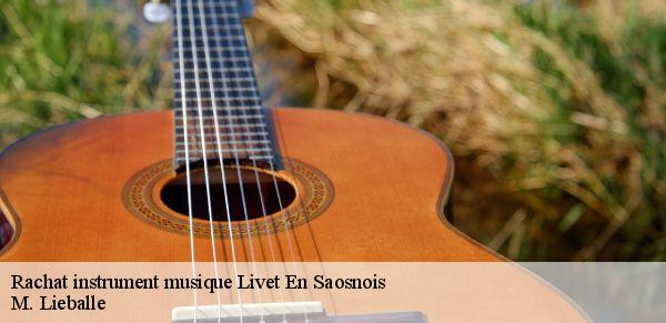 Rachat instrument musique  livet-en-saosnois-72610 M. Lieballe 