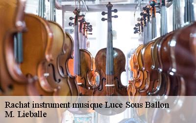 Rachat instrument musique  luce-sous-ballon-72290 M. Lieballe 