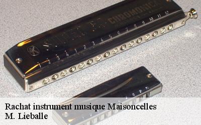 Rachat instrument musique  maisoncelles-72440 M. Lieballe 