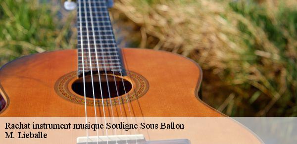 Rachat instrument musique  souligne-sous-ballon-72290 M. Lieballe 