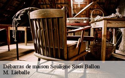 Débarras de maison  souligne-sous-ballon-72290 M. Lieballe 