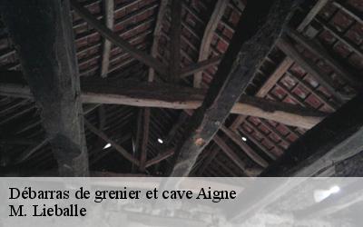 Débarras de grenier et cave  aigne-72650 M. Lieballe 