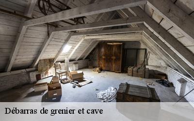 Débarras de grenier et cave  auvers-sous-montfaucon-72540 M. Lieballe 
