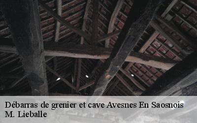 Débarras de grenier et cave  avesnes-en-saosnois-72260 M. Lieballe 
