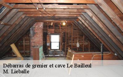 Débarras de grenier et cave  le-bailleul-72200 M. Lieballe 