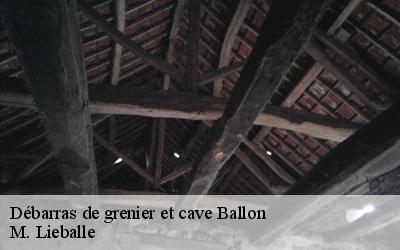 Débarras de grenier et cave  ballon-72290 M. Lieballe 