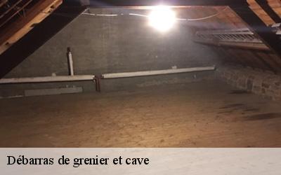 Débarras de grenier et cave  bernay-72240 M. Lieballe 