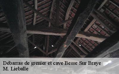 Débarras de grenier et cave  besse-sur-braye-72310 M. Lieballe 