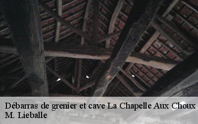 Débarras de grenier et cave  la-chapelle-aux-choux-72800 M. Lieballe 
