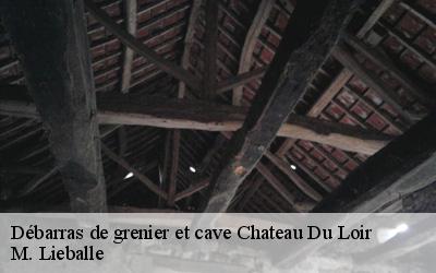 Débarras de grenier et cave  chateau-du-loir-72500 M. Lieballe 