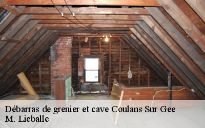 Débarras de grenier et cave  coulans-sur-gee-72550 M. Lieballe 