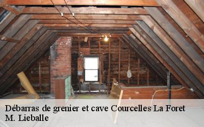 Débarras de grenier et cave  courcelles-la-foret-72270 M. Lieballe 